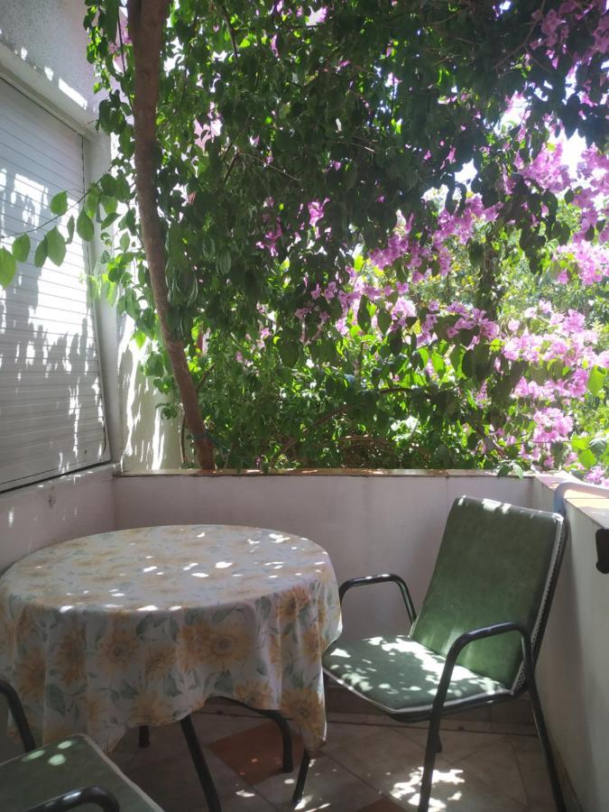 Apartmani Abeona Budva Exterior foto